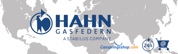 Hahn Gasfedern: Online Partner Shops