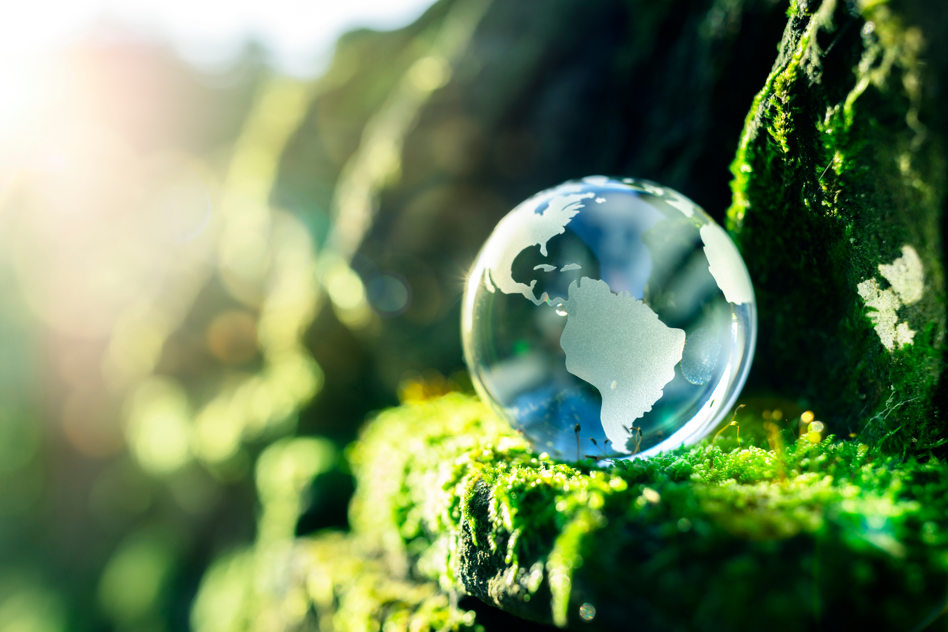 Nachhaltigkeit bei HAHN-Gasfedern – eine transparente Glaskugel mit einer Weltkarte liegt auf grünem Moos, symbolisiert Umweltbewusstsein und ökologische Verantwortung.